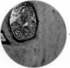 674-19