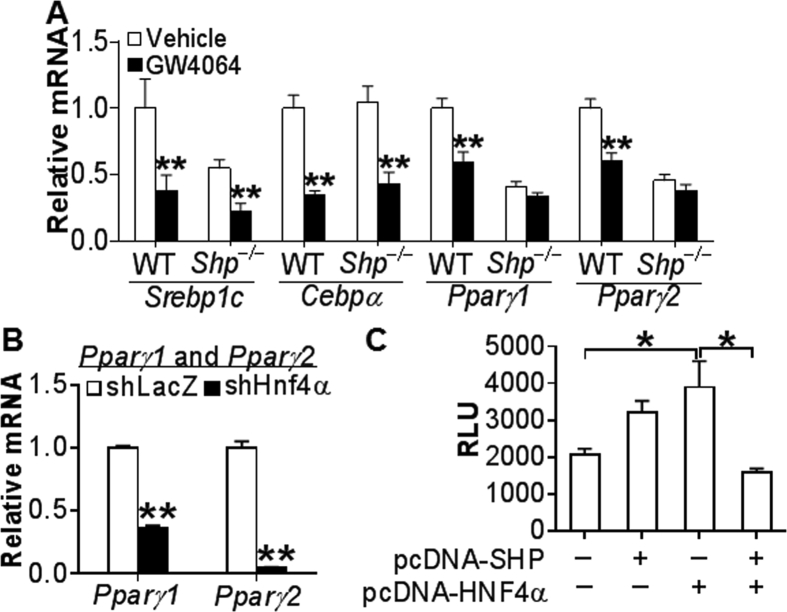 Figure 6