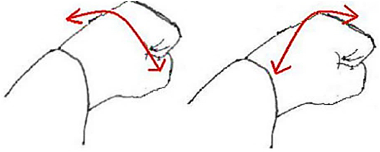 Fig. 8