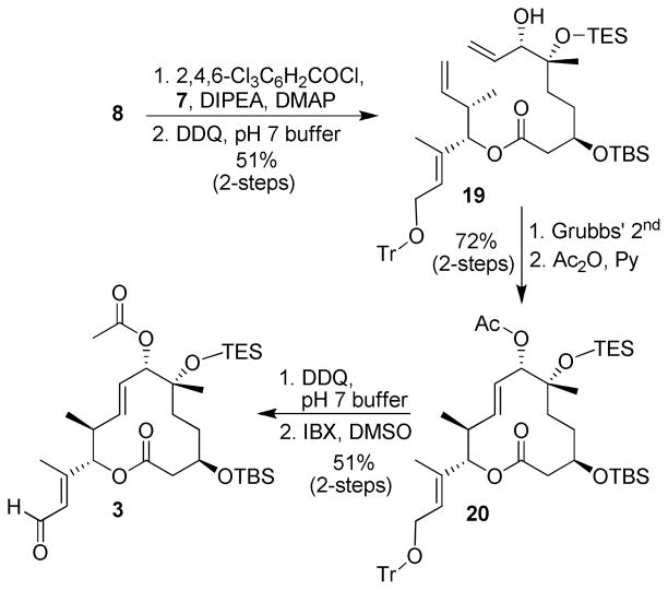 Scheme 3