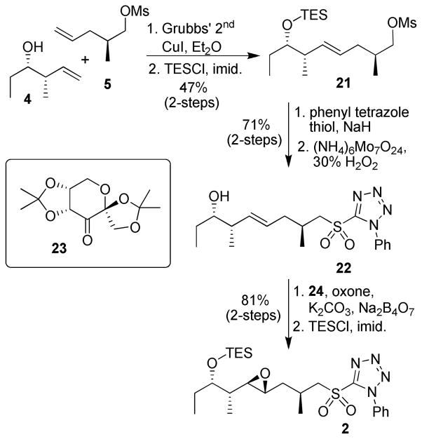 Scheme 4