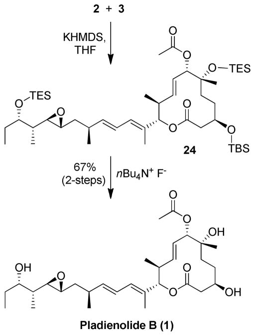 Scheme 5