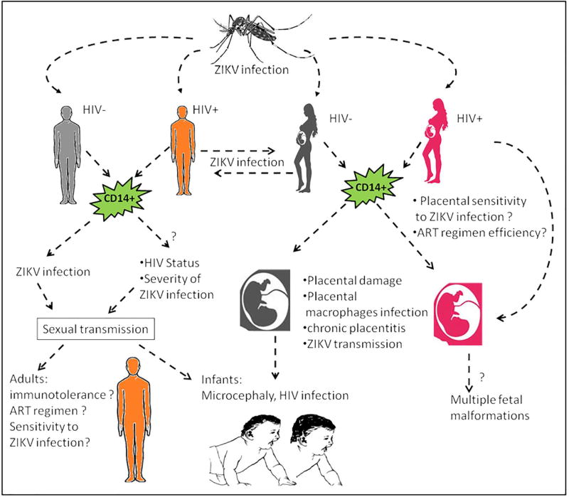 Fig. 2