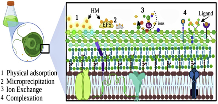 Figure 3