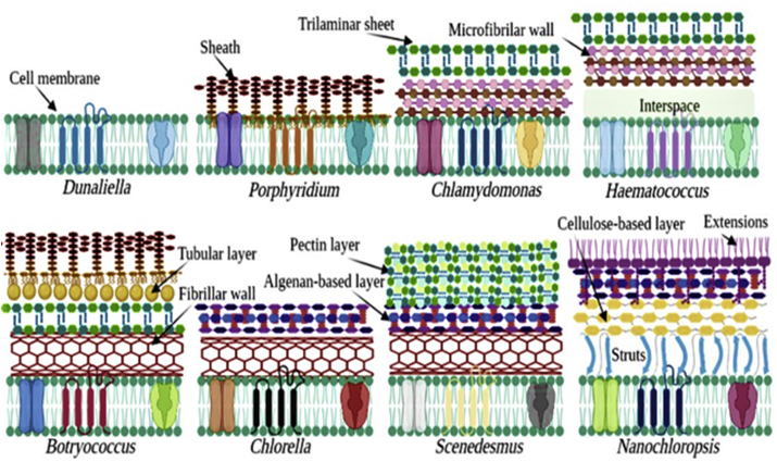 Figure 2