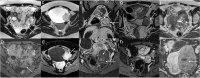 Fig. 9