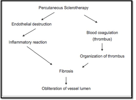 [Table/Fig-8]: