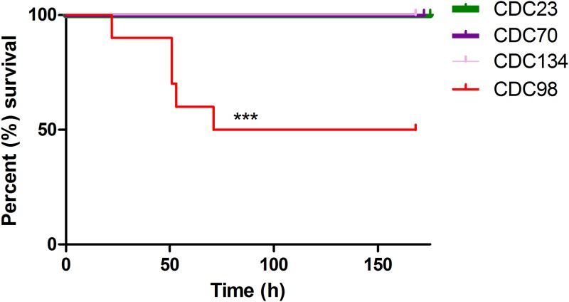 FIG 1