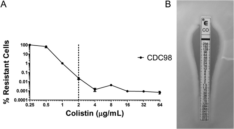 FIG 2