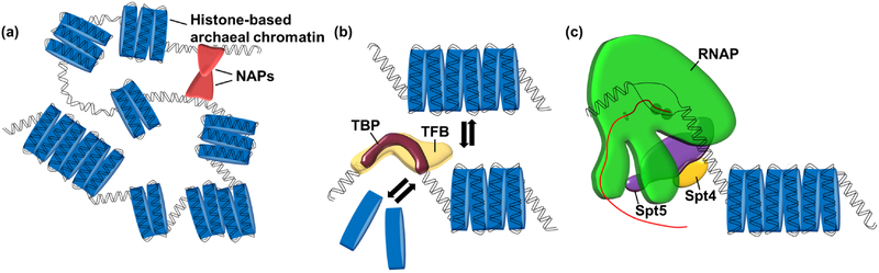 Figure 3.