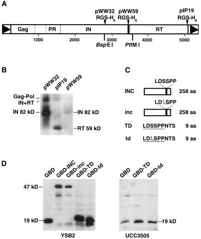 FIG. 1