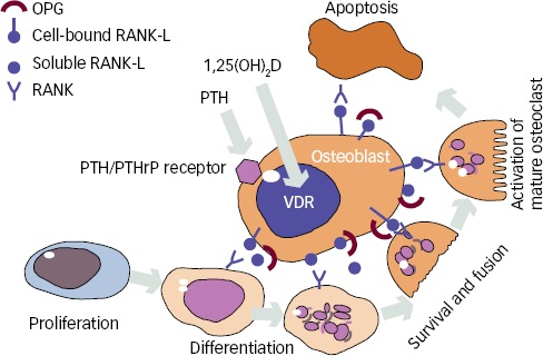 Figure 1: