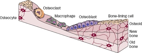 Figure 2: