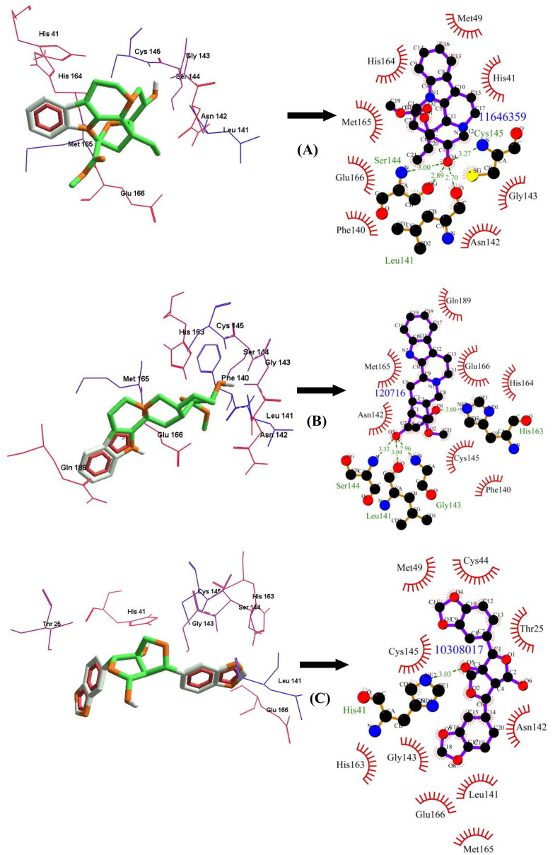 Fig. 2