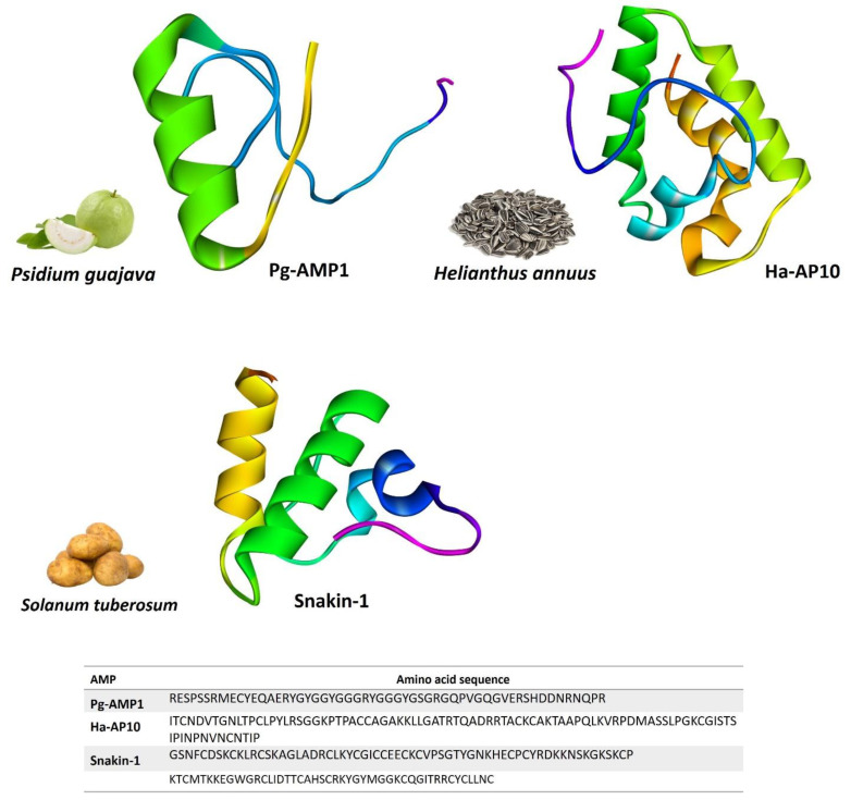 Figure 3