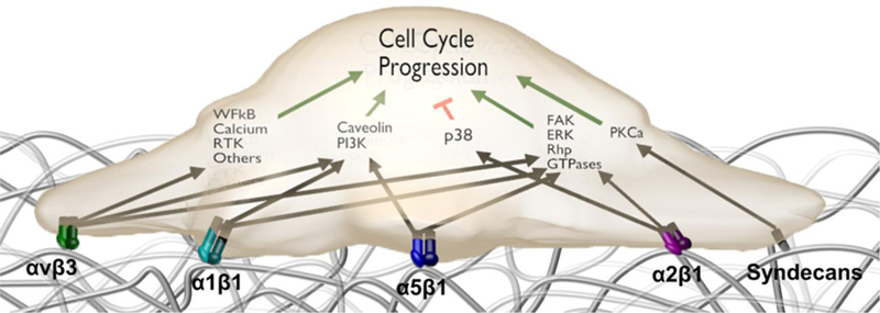 Figure 2: