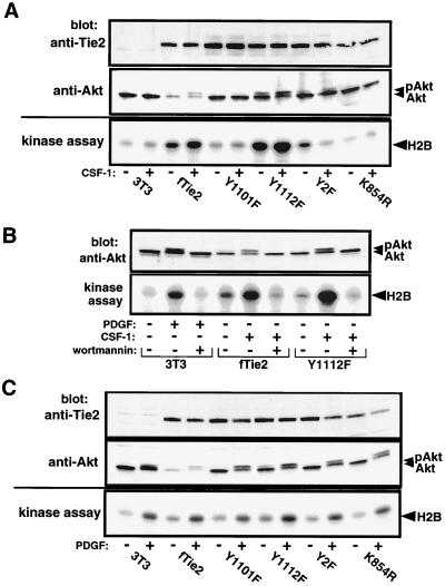 FIG. 7