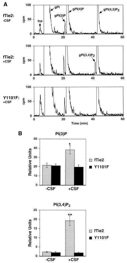 FIG. 8