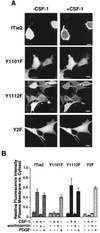 FIG. 6