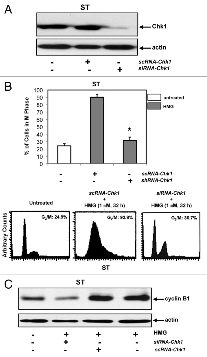 
Figure
5.
