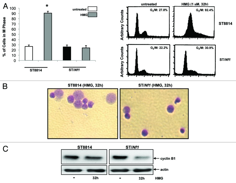 
Figure
3.
