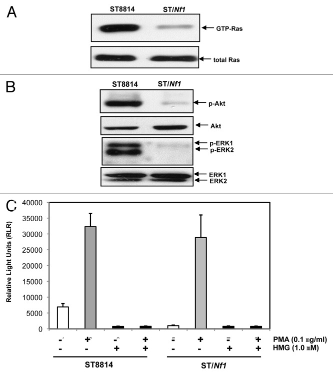 
Figure
1.
