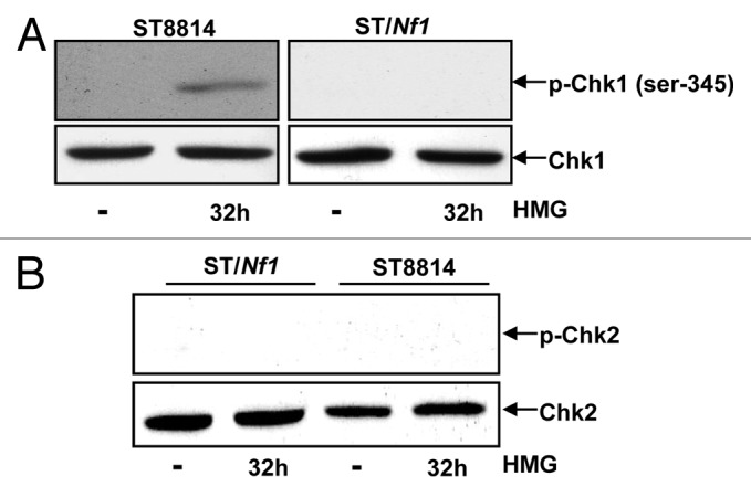 
Figure
4.
