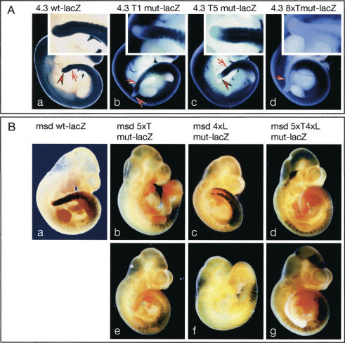 Figure 4.