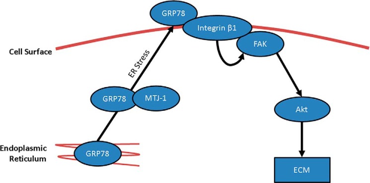 Figure 9.