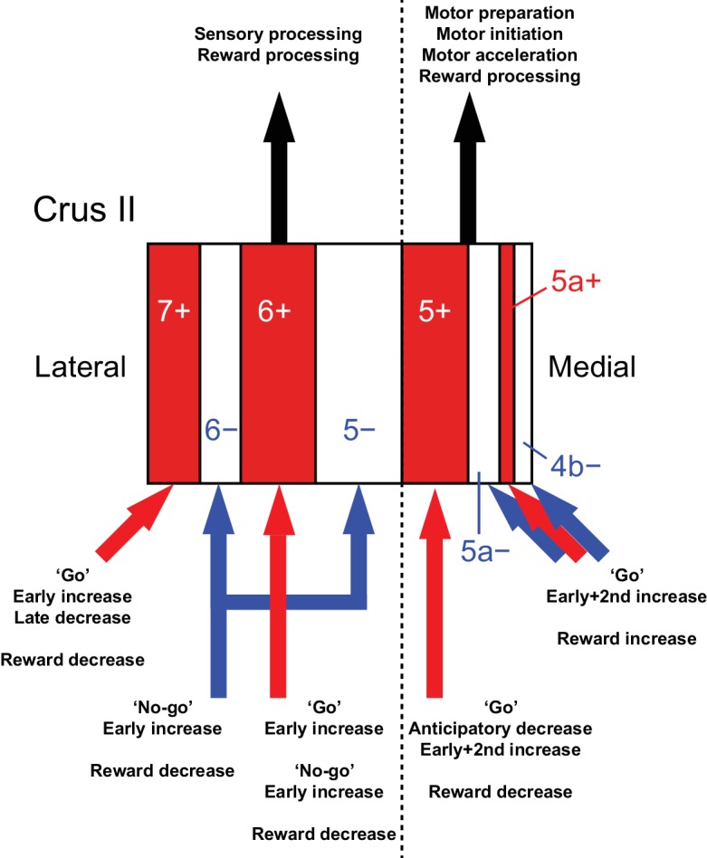 Figure 8.