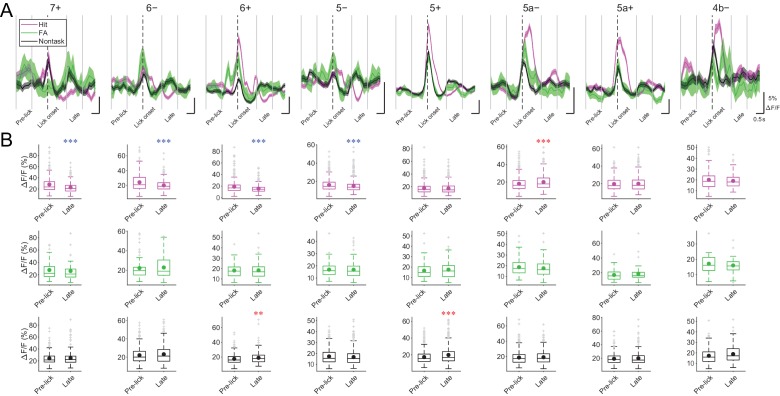 Figure 4—figure supplement 3.