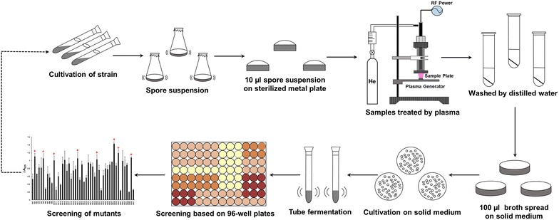 Fig. 1