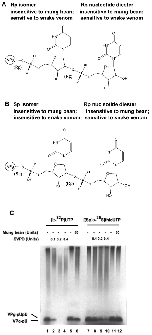 FIG. 5.