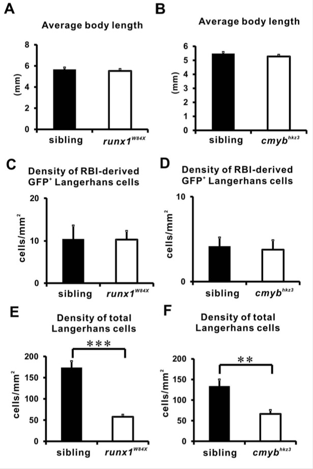 Figure 2—figure supplement 1.