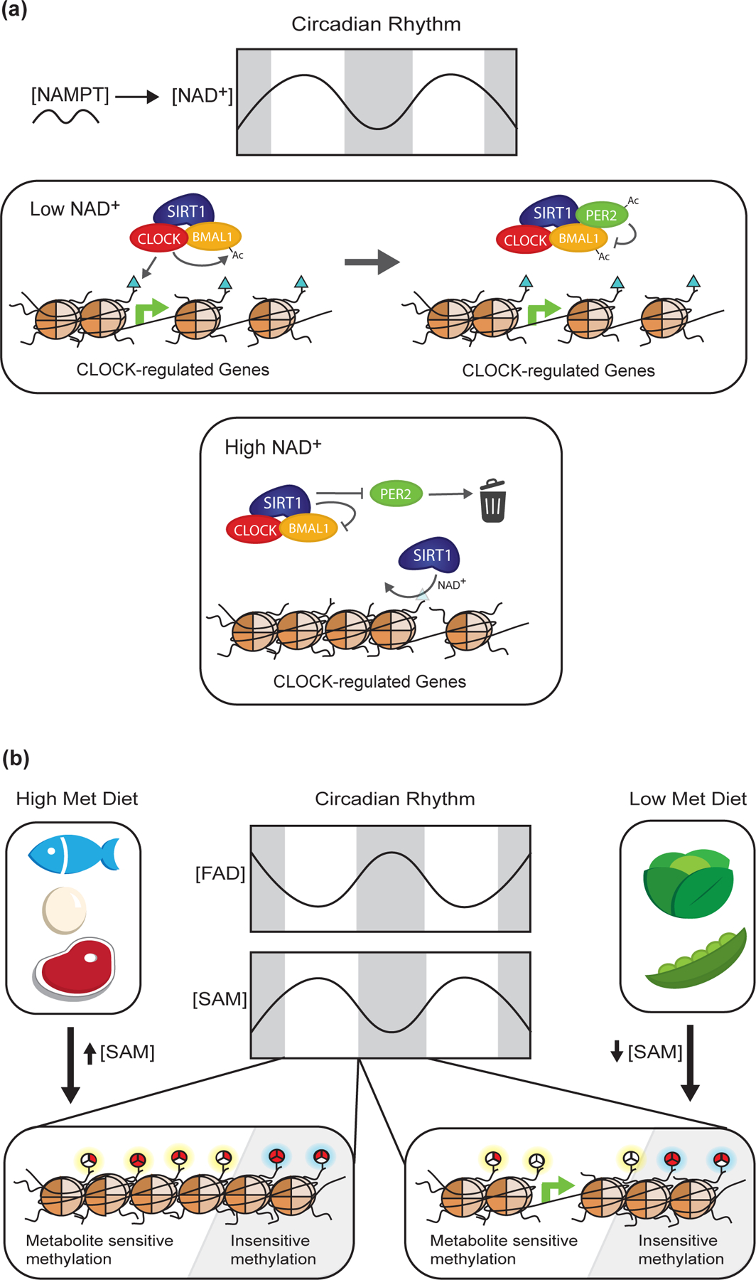 Figure 5: