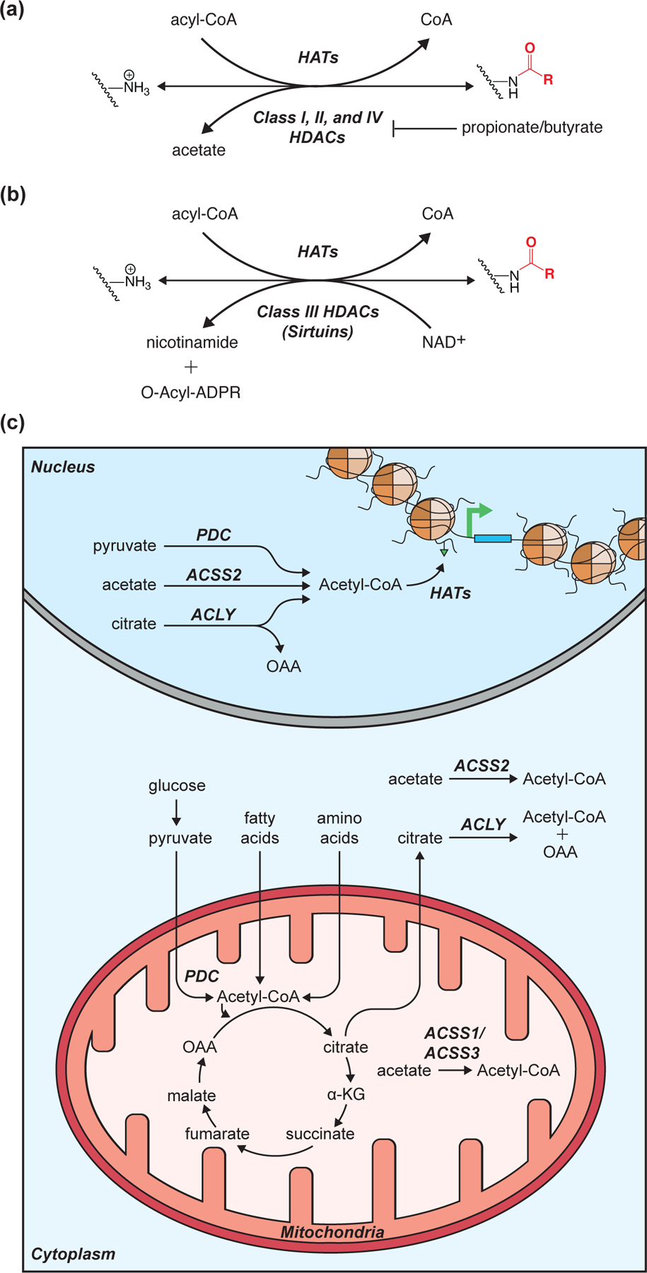 Figure 2: