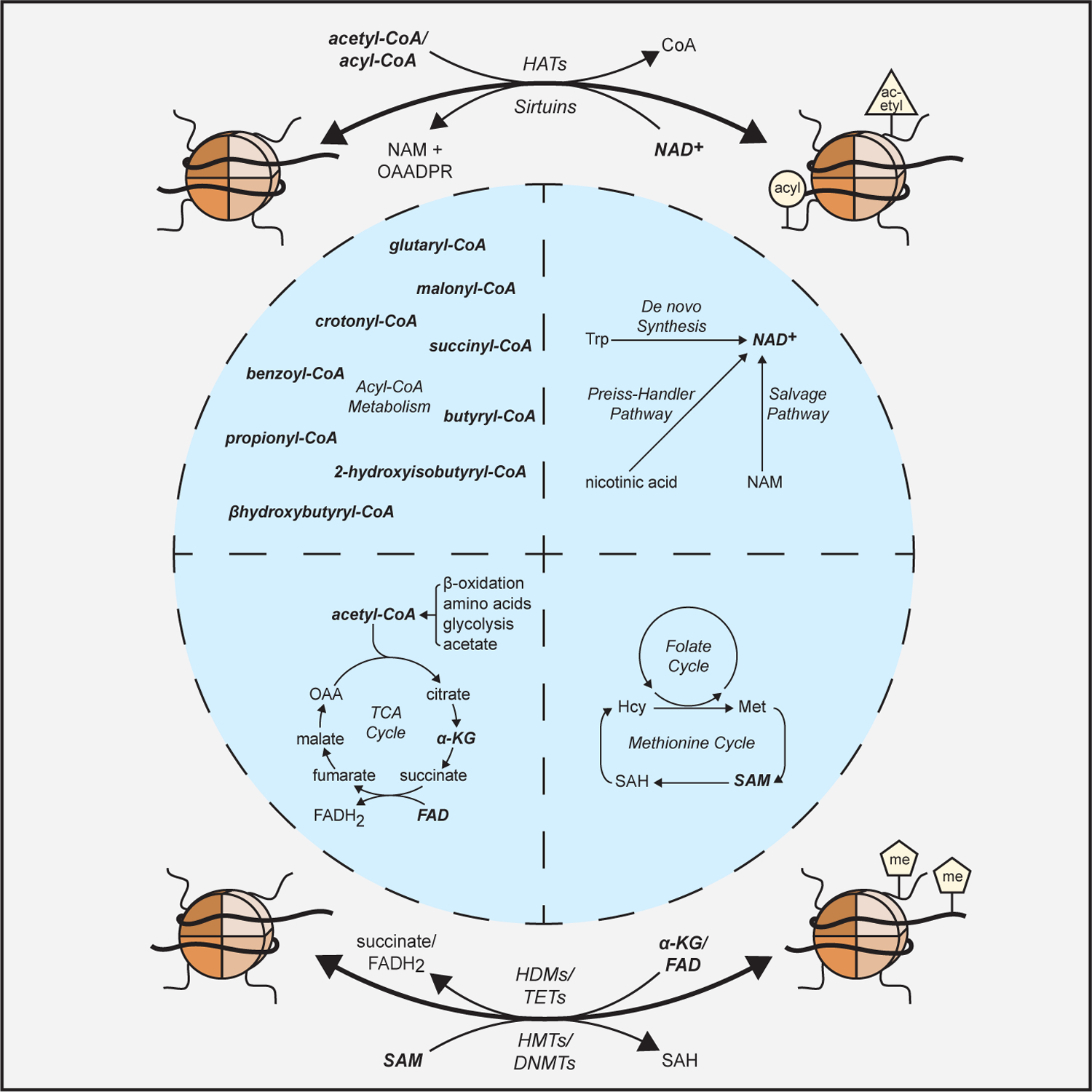 Figure 1: