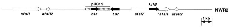 FIG. 5