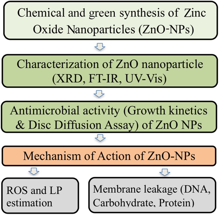 FIGURE 1