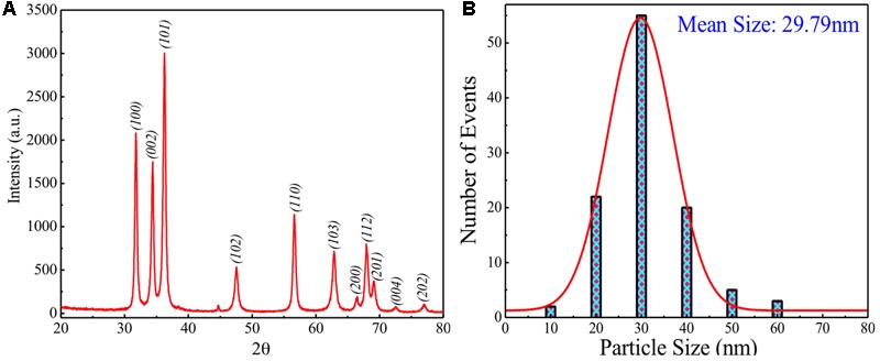 FIGURE 2