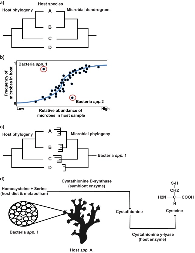 FIG 2