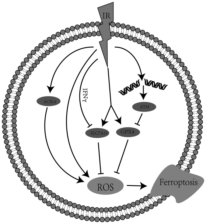 Figure 2.