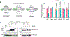 Extended Data Fig. 3 |