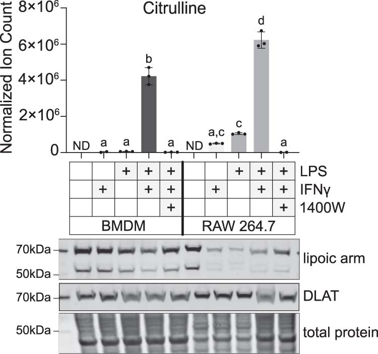 Extended Data Fig. 1