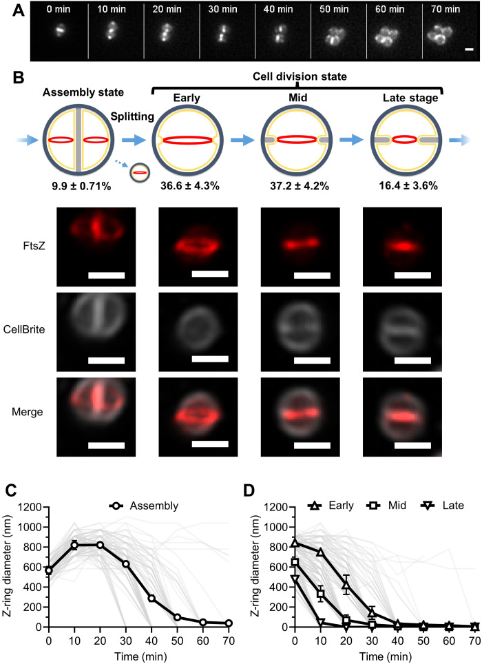 Fig. 2.