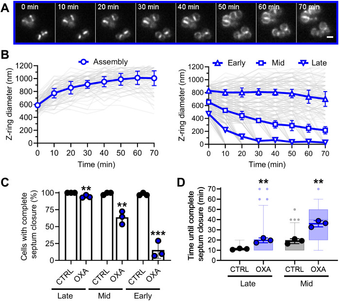 Fig. 4.