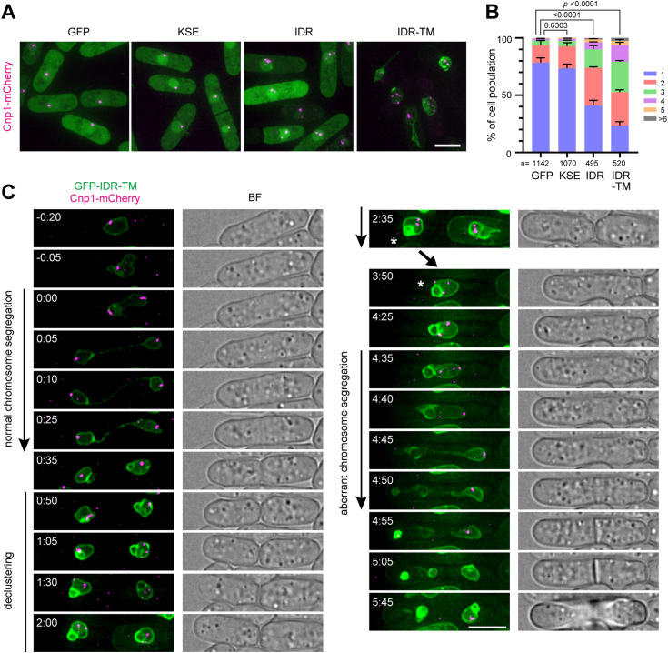 Figure 3