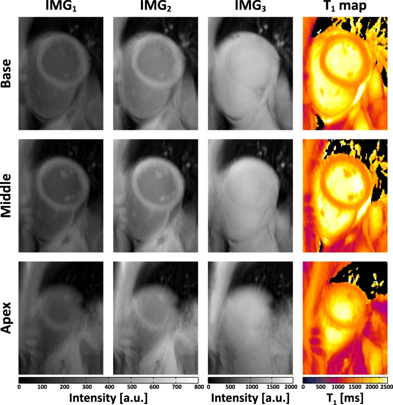 Fig. 4