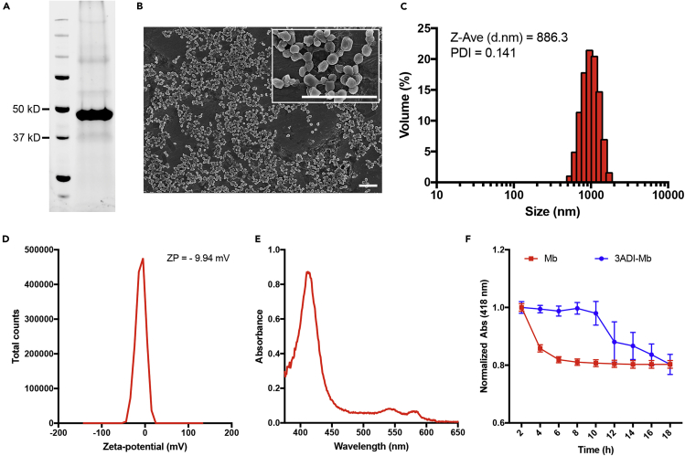 Figure 1