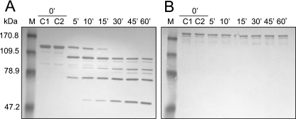 FIG. 7.